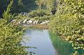 Plitvicer Seen05